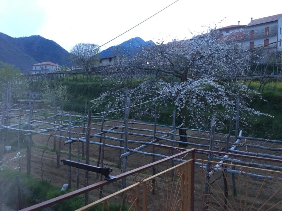 Dafne Holiday Agerola Ngoại thất bức ảnh