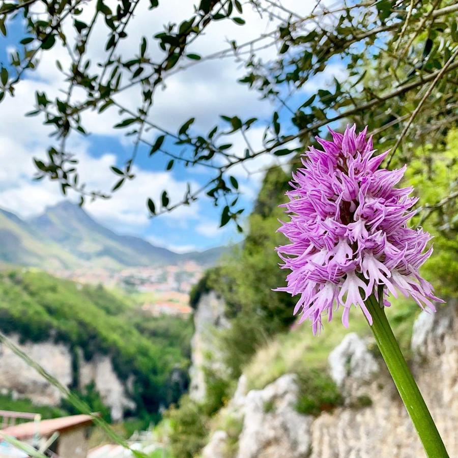 Dafne Holiday Agerola Ngoại thất bức ảnh